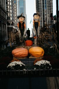 Pumpkins in Chicago