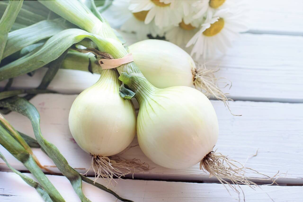 Onions on pizza