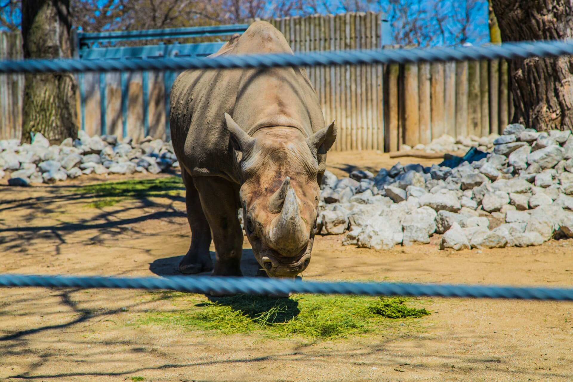 Lincoln Park Zoo